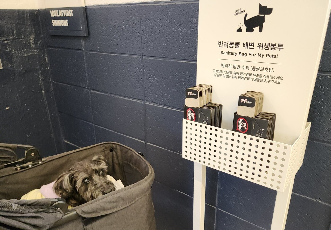 본문 이미지 - 시몬스 테라스 곳곳에 마련된 반려동물 위생봉투 ⓒ 뉴스1 한송아 기자
