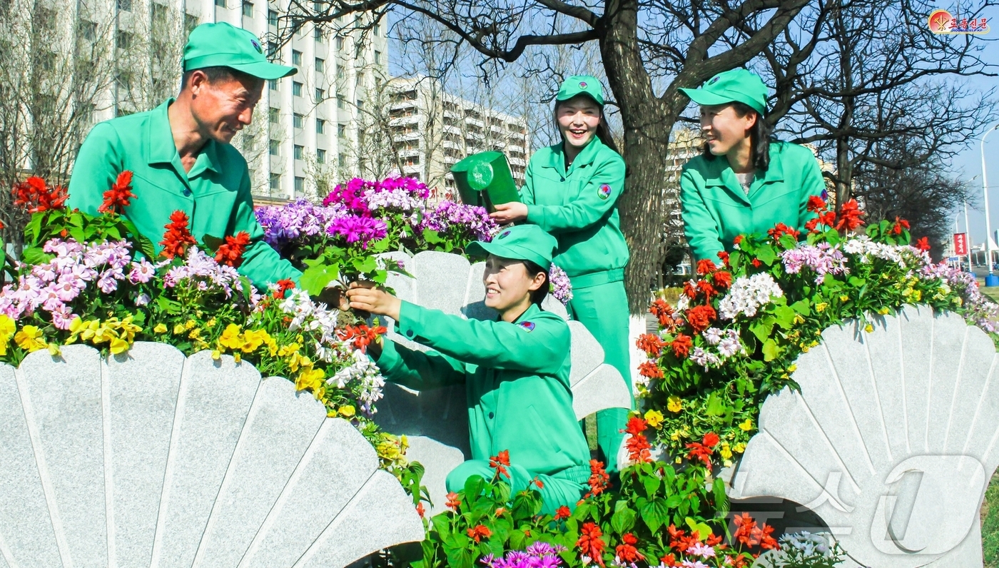 (평양 노동신문=뉴스1) = 북한 노동당 기관지 노동신문은 12일 "대동강구역화초사업소에서 수도의 거리를 아름다운 꽃들로 단장해가고 있다"고 보도했다. [국내에서만 사용가능. 재배 …