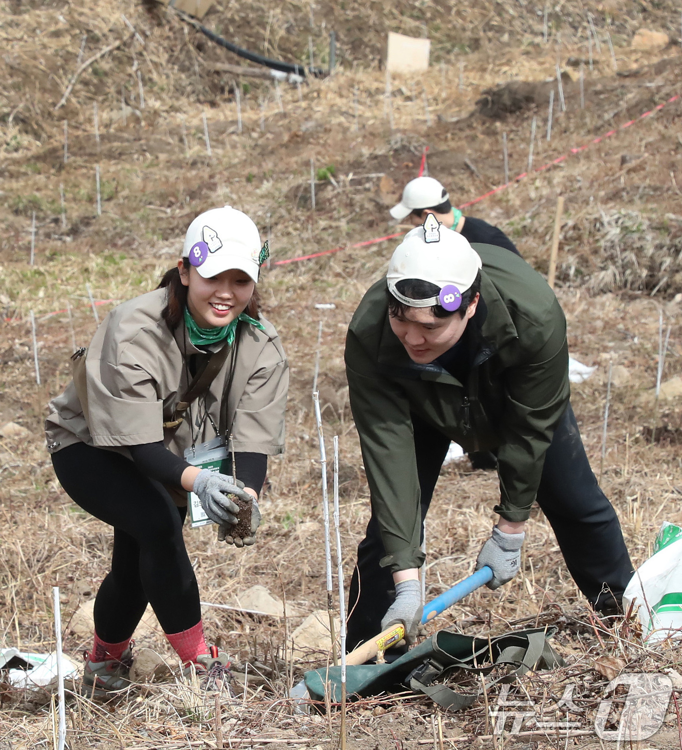 (서울=뉴스1) 신웅수 기자 = 12일 강원도 인제 자작나무숲에서 열린 유한킴벌리 주최 '우리강산 푸르게 푸르게 2025 신혼부부 나무심기' 행사에서 참가자들이 나무를 심고 있다. …