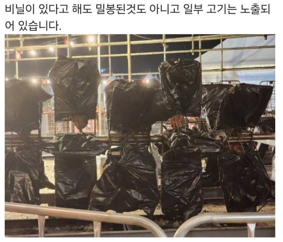 본문 이미지 - 축제 현장에 방치된 고기. (온라인 커뮤니티 갈무리)