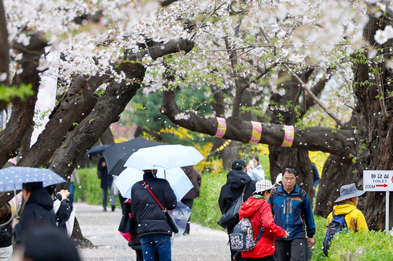 [오늘의 날씨] 세종·충북(4일, 토)…흐리고 비, 낮 최고 16~17도