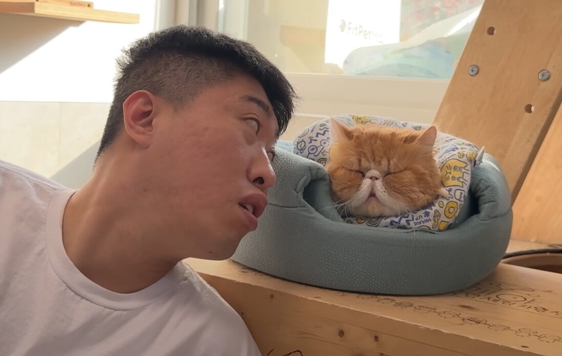 본문 이미지 - 서울 용산구에 위치한 '나비야사랑해' 보호소를 찾은 송하빈은 기부 물품을 전달하고 고양이들과 따뜻한 교감을 나누며 시간을 보냈다(유튜브 언더월드 갈무리). ⓒ 뉴스1