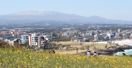 제주도 산지 '건조주의보' 발효…"산불 조심"