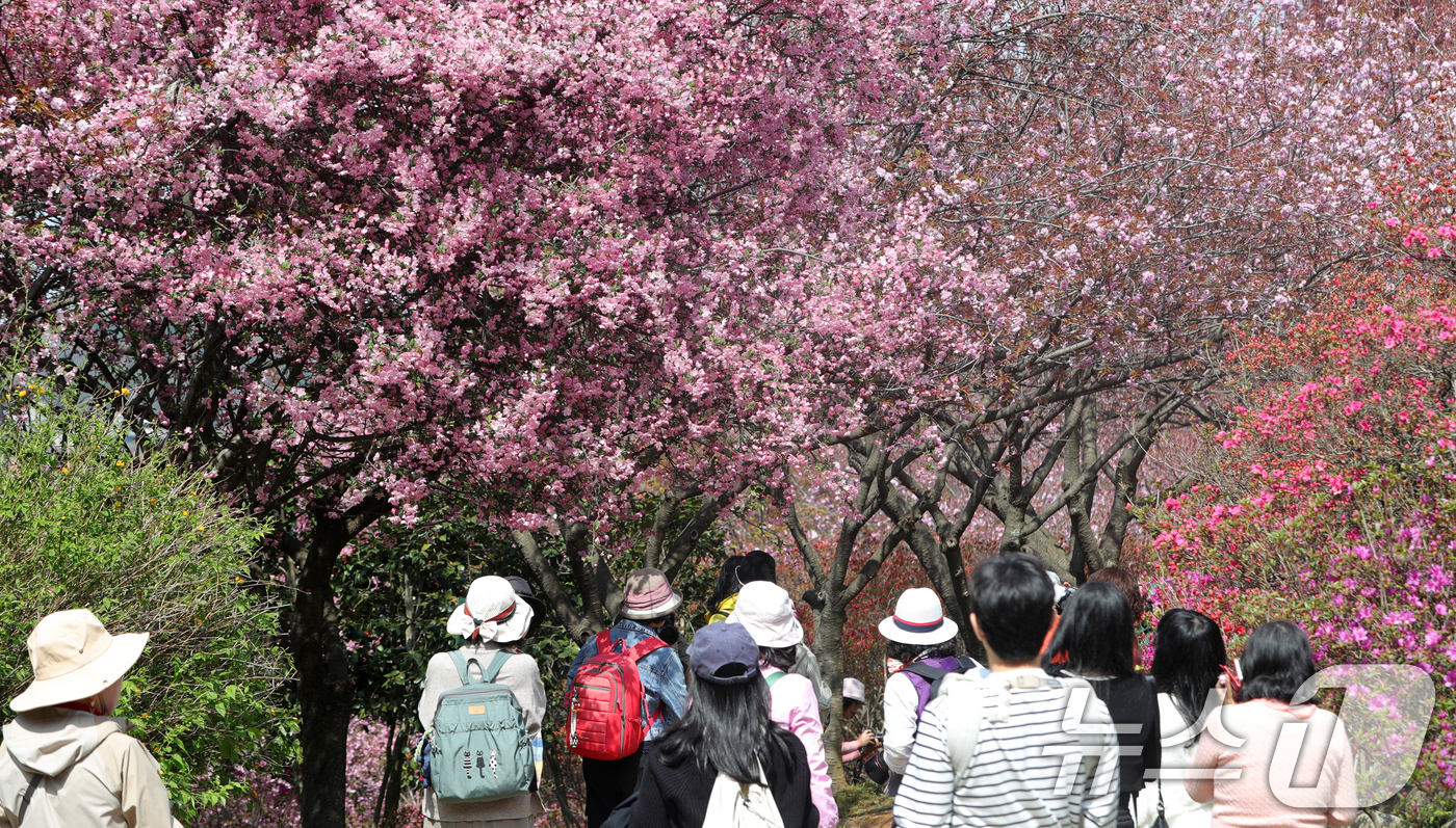 (전주=뉴스1) 유경석 기자 = 16일 전북자치도 전주시 완산칠봉 꽃동산을 찾은 상춘객들이 활짝 핀 해당화 아래에서 사진을 찍고 있다. 2025.4.16/뉴스1