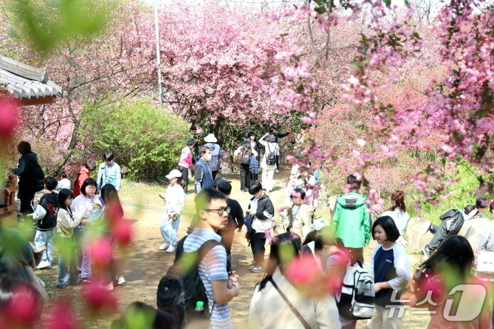 본문 이미지 - 16일 전북자치도 전주시 완산공원 꽃동산이 꽃구경을 나온 상춘객들로 북적이고 있다.(전주시 제공, 재판매 및 DB 금지)/뉴스1