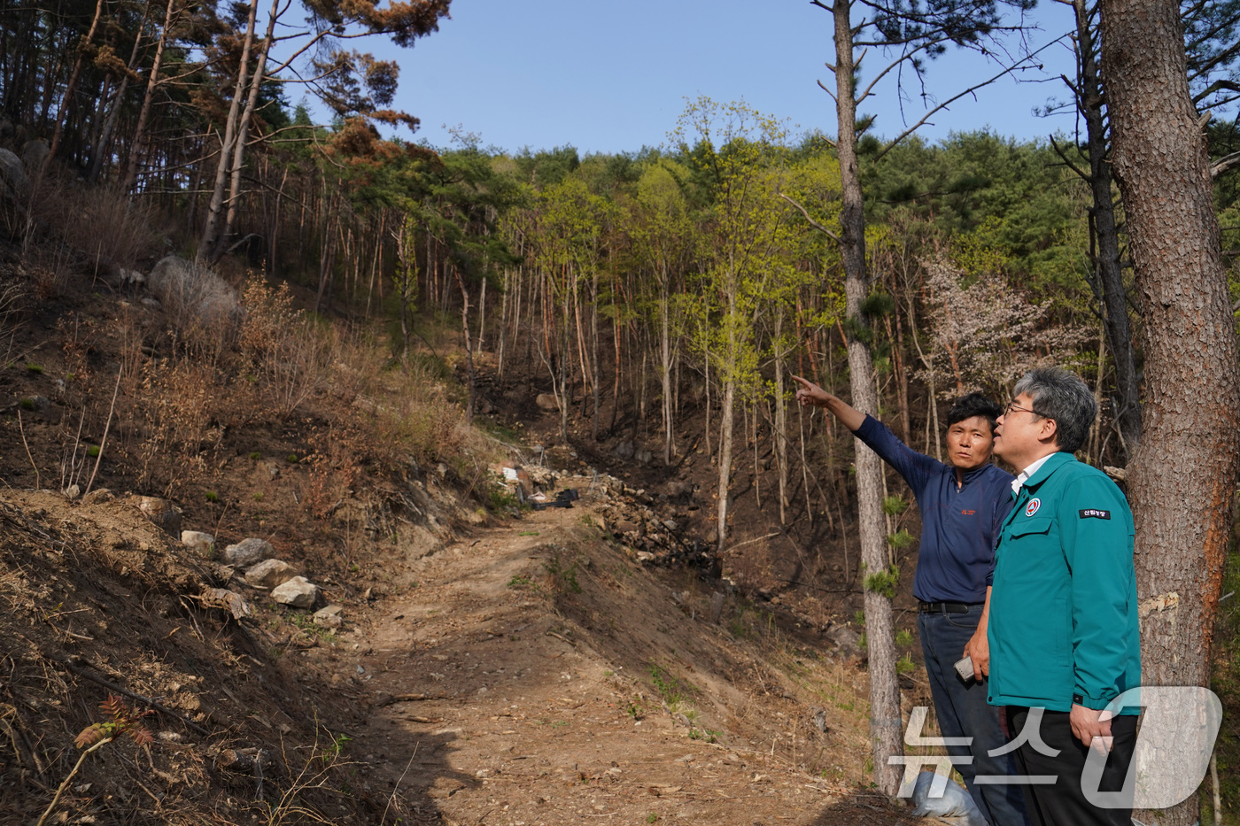 (서울=뉴스1) 신웅수 기자 = 임상섭 산림청장이 16일 산불피해 임업인과 송이산 및 더덕 재배지 피해 현황을 파악하고 있다. (산림청 제공. 재판매 및 DB 금지) 2025.4. …