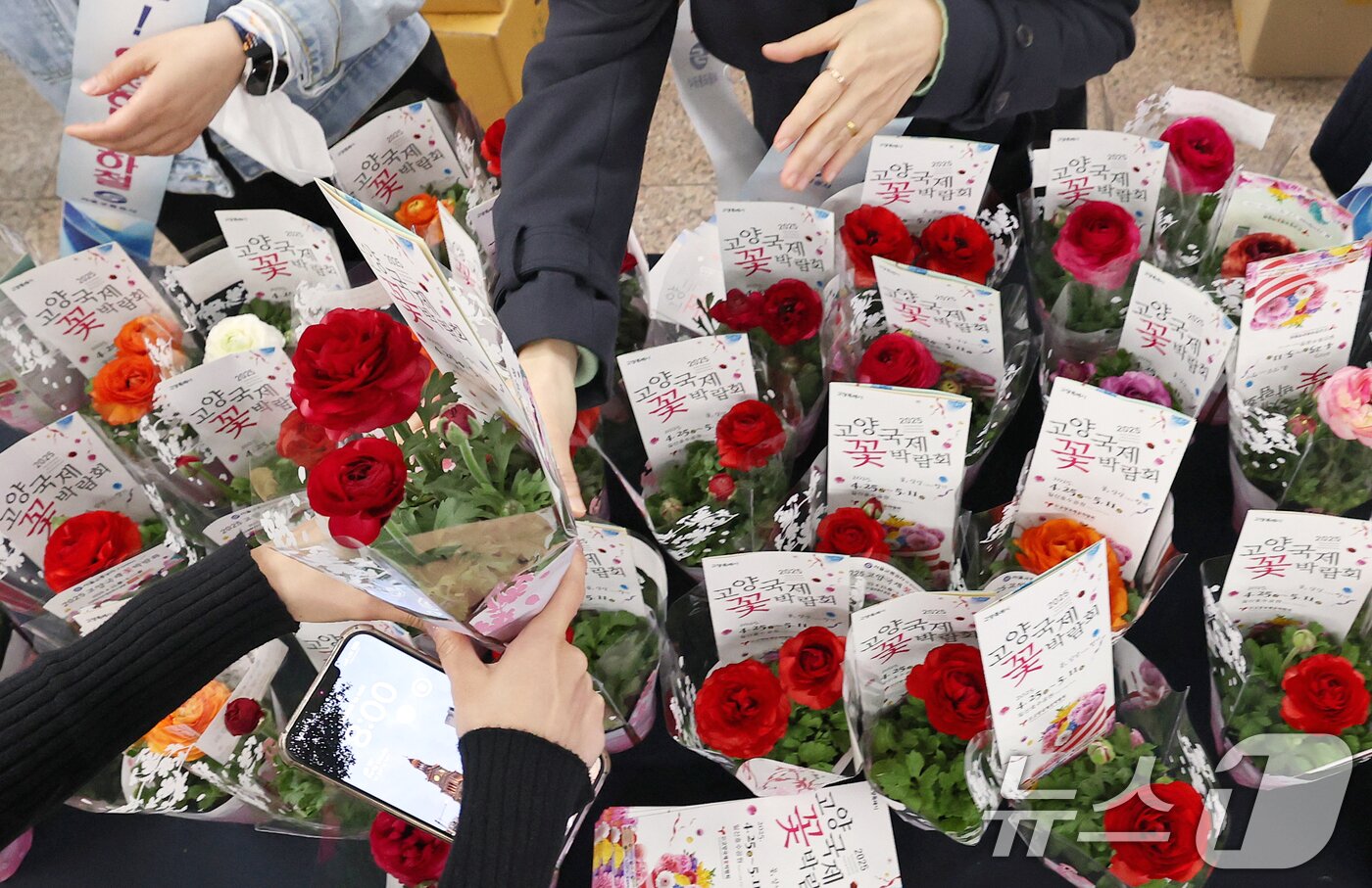 본문 이미지 - 서울교통공사 임직원들이 17일 오전 서울 종로구 광화문역 대합실에서 출근길 시민들을 응원하며 &#39;라넌큘러스&#39; 화분 1,000개를 무료 나눔하고 있다. 이날 행사는 오는 25일 막을 올리는 고양국제꽃박람회를 알리고 봄 나들이철을 맞아 대중교통 이용 활성화를 촉진하기 위해 마련됐다. 2025.4.17/뉴스1 ⓒ News1 오대일 기자
