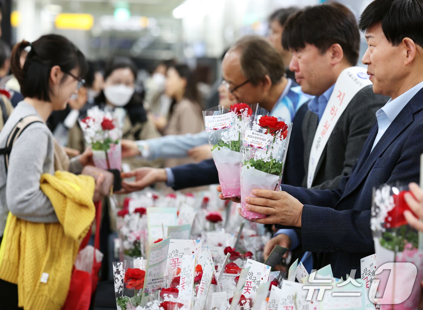 본문 이미지 - 서울교통공사 임직원들이 17일 오전 서울 종로구 광화문역 대합실에서 출근길 시민들을 응원하며 &#39;라넌큘러스&#39; 화분 1,000개를 무료 나눔하고 있다.  2025.4.17/뉴스1 ⓒ News1 오대일 기자
