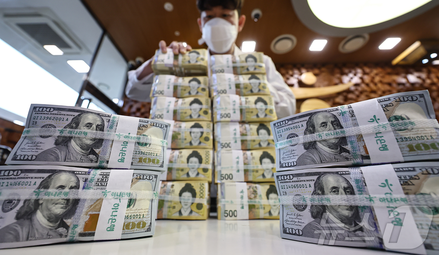달러 가치 10% 떨어질 때, 원화 고작 3% 상승 - 뉴스1