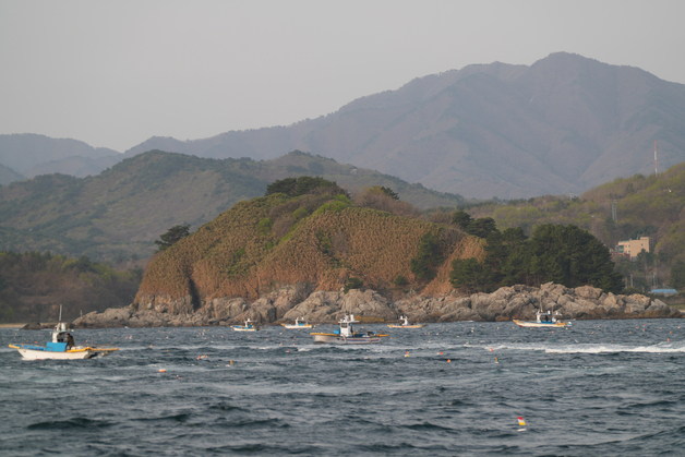강원도, 연안어선 감척 예산 84억 투입…전년 대비 3.5배 확대