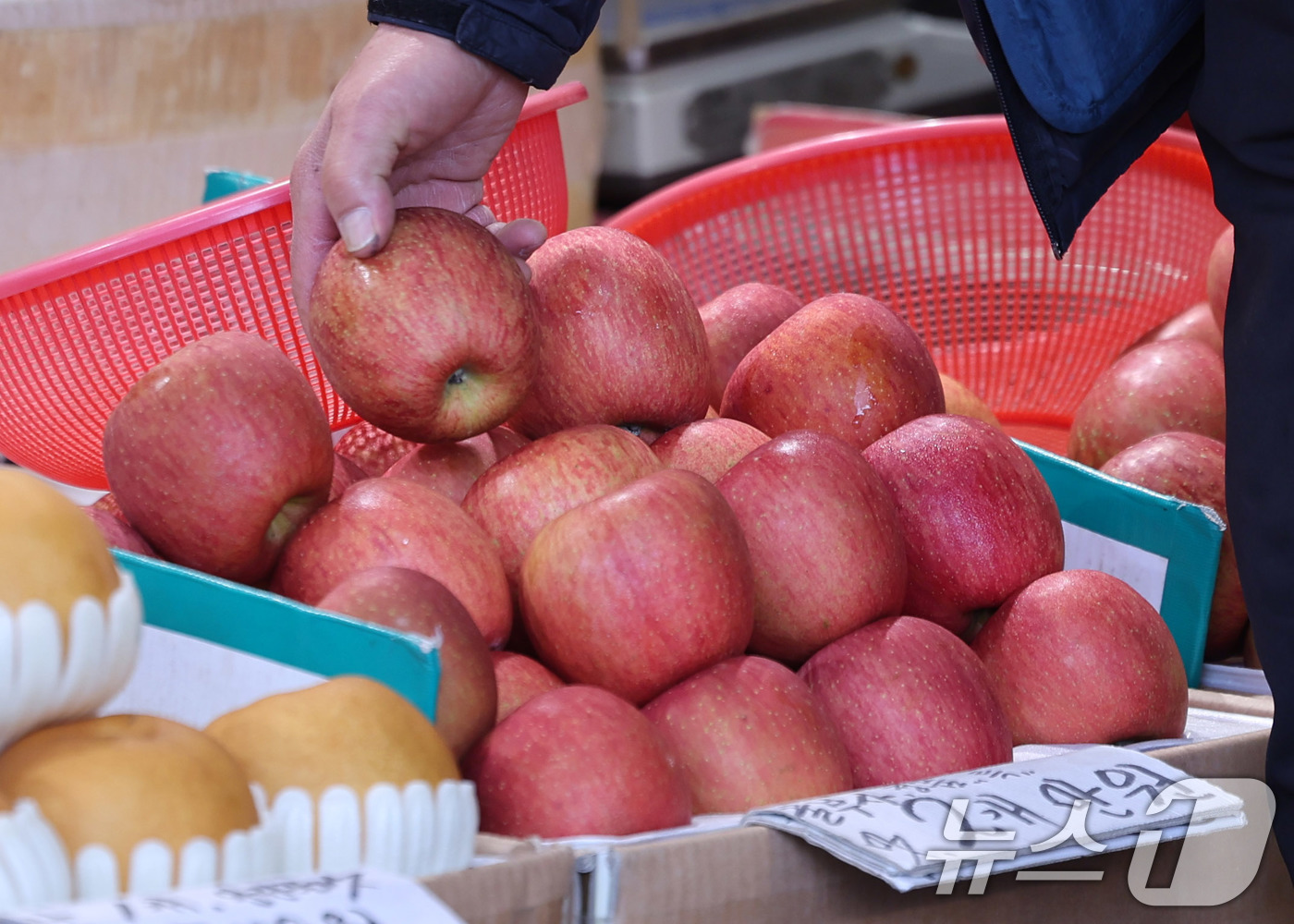 (서울=뉴스1) 박지혜 기자 = 경북 북부 지역의 대형 산불로 전국 사과 재배면적의 약 28%가 피해를 입으면서 사과나무 개화와 생육에 차질이 생겼다. 이로 인해 올 하반기 사과 …