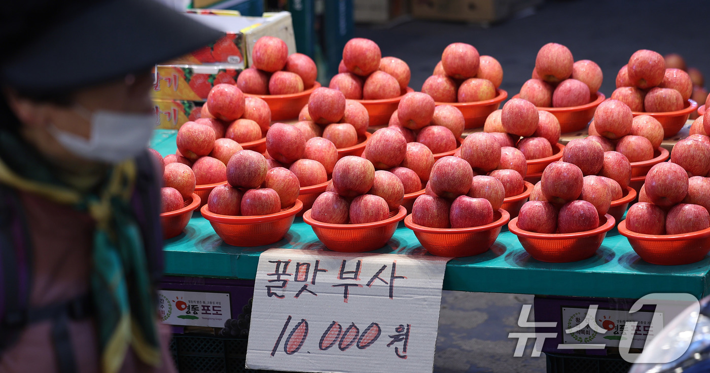 (서울=뉴스1) 박지혜 기자 = 경북 북부 지역의 대형 산불로 전국 사과 재배면적의 약 28%가 피해를 입으면서 사과나무 개화와 생육에 차질이 생겼다. 이로 인해 올 하반기 사과 …