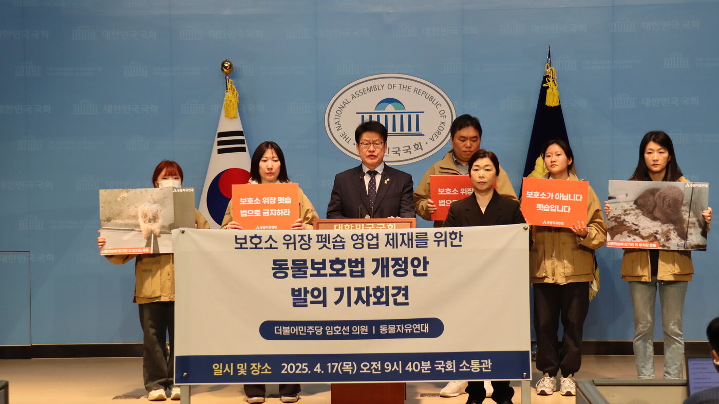 본문 이미지 - 17일 국회 농림축산식품해양수산위원회 소속 임호선 더불어민주당 의원은 동물자유연대와 함께 &#39;신종 펫숍 금지를 위한 동물보호법 개정안 발의&#39; 기자회견을 열었다&#40;의원실 제공&#41;. ⓒ 뉴스1
