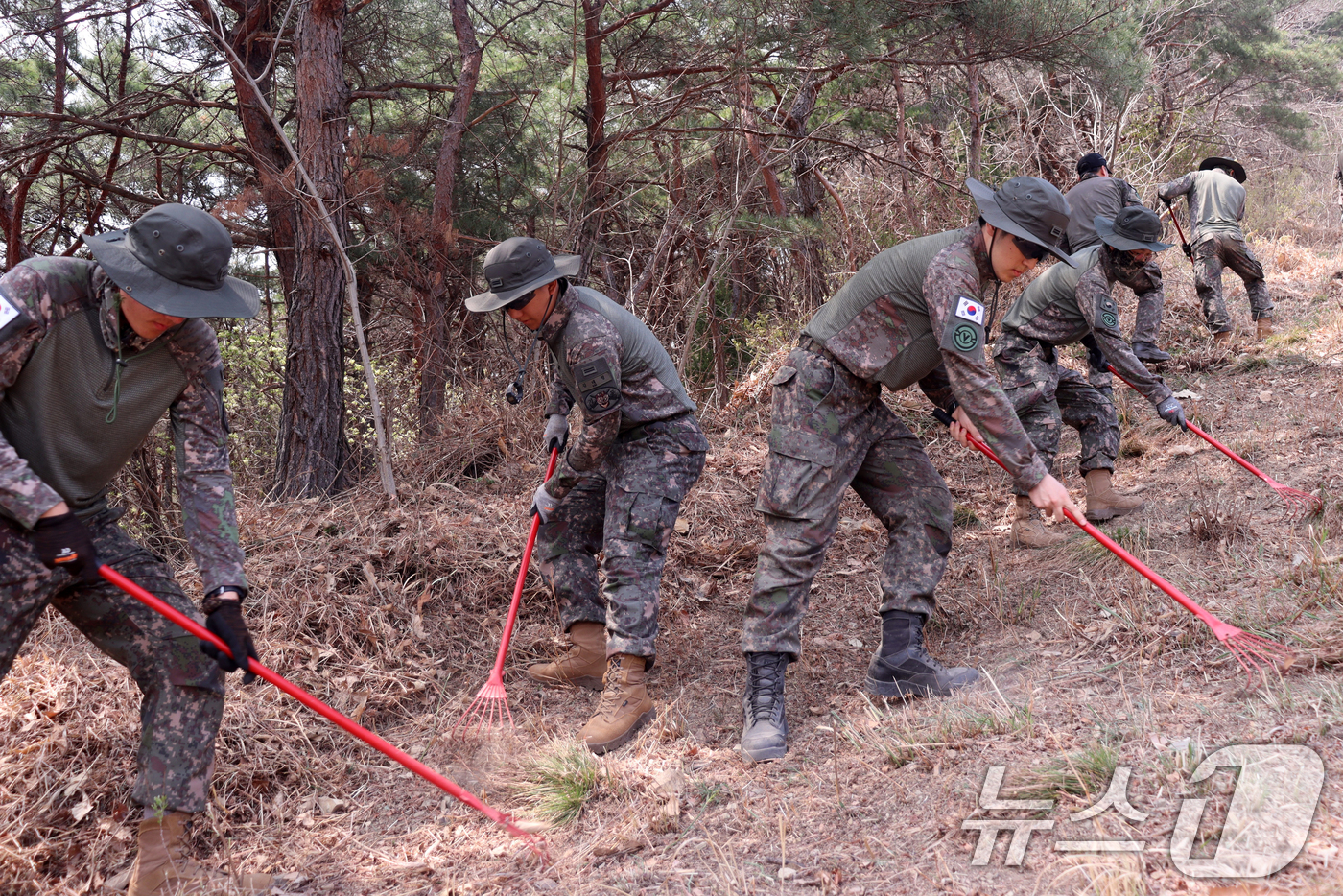 (경주=뉴스1) 최창호 기자 = 17일 육군 50사단 화랑여단 장병들이 경북 경주시 안강읍에 있는 공용화기 사격장 일원에서 불모지 작전을 실시했다고 밝혔다.불모지작전은 훈련 중 발 …