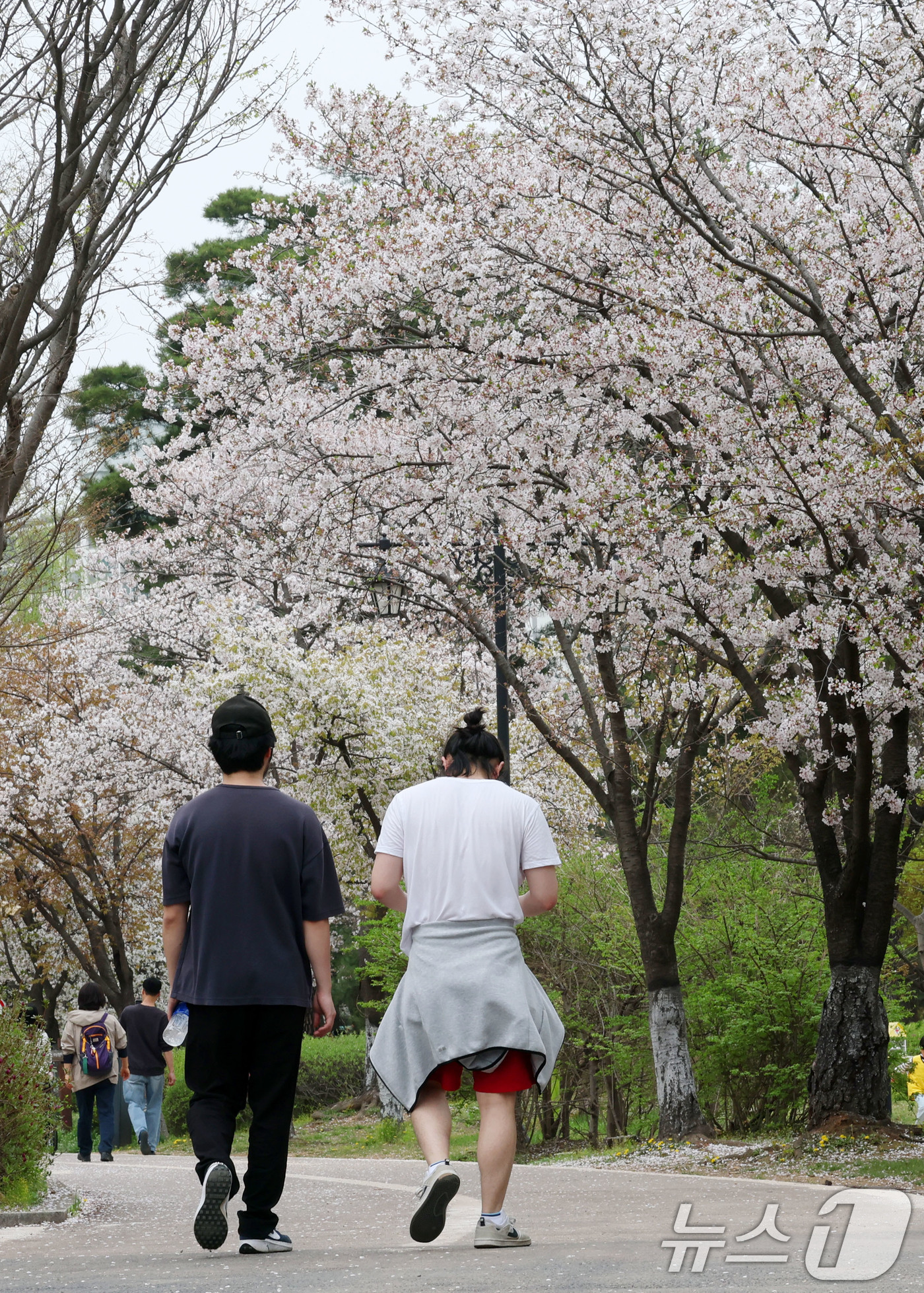 (고양=뉴스1) 박세연 기자 = 최고기온이 25도까지 오르는 등 초여름 날씨를 보인 17일 오후 벚꽃이 활짝 핀 경기도 고양시 일산호수공원에서 반팔티와 반바지 등 가벼운 옷차림의 …