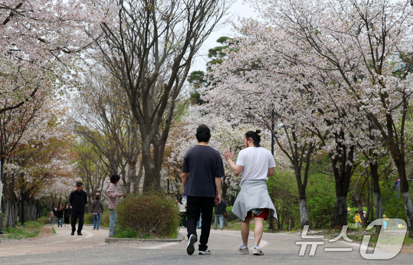 (고양=뉴스1) 박세연 기자 = 최고기온이 25도까지 오르는 등 초여름 날씨를 보인 17일 오후 벚꽃이 활짝 핀 경기도 고양시 일산호수공원에서 반팔티와 반바지 등 가벼운 옷차림의 …