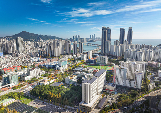 부경대, 'THE 계열별 세계대학평가'서 2개 계열 국내 10위권