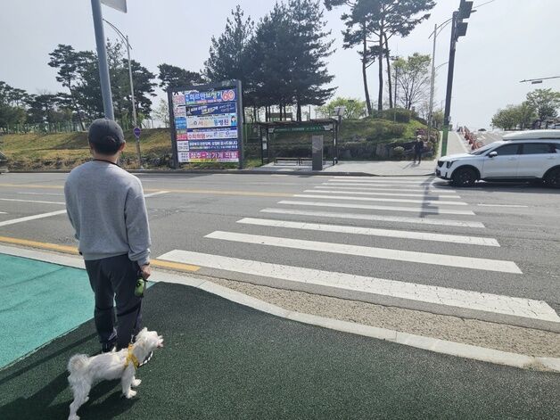 "공원 앞 신호등이 없다뇨"…문암생태공원 시민 위험·불편 호소