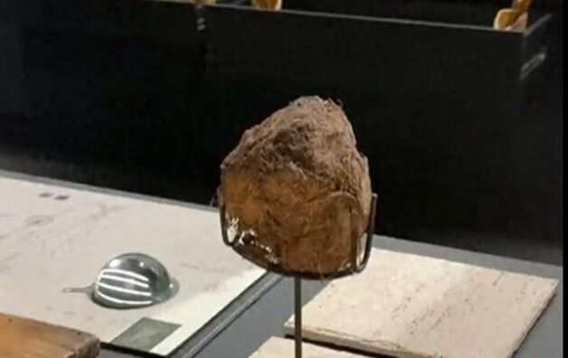 76만원 코스에 '코끼리 똥' 디저트…식당 측 "소독해서 괜찮아" 경악