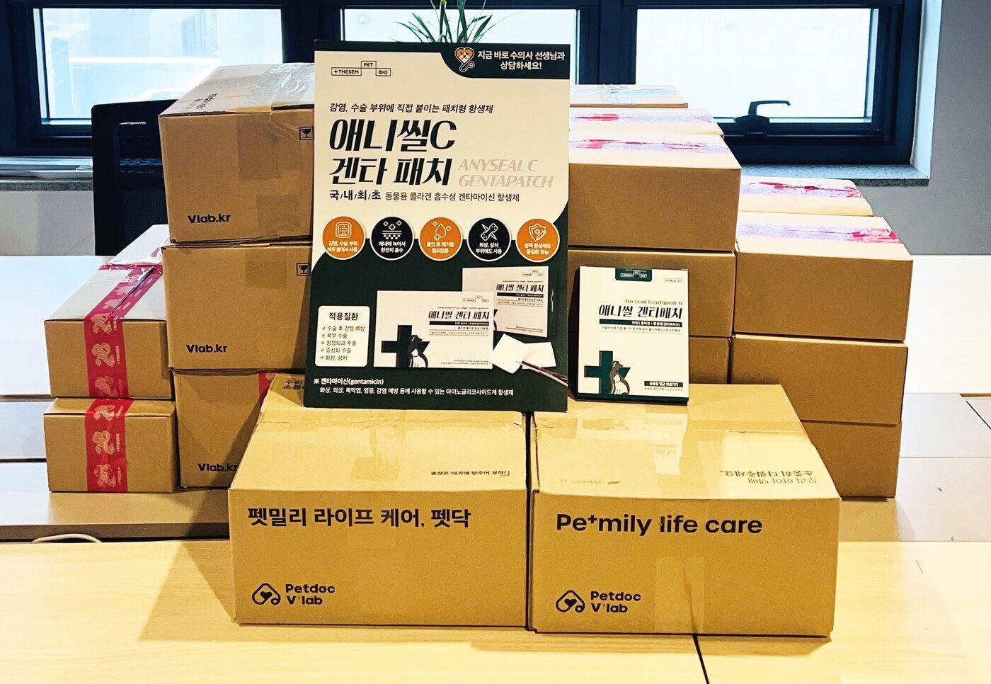 본문 이미지 - 더셈펫바이오는 최근 영남 지역 산불 피해 현장에서 구조된 동물들의 치료를 위해 약 40개 동물병원에 자사 제품인 '애니씰 겐타패치'를 긴급 지원했다(더셈펫바이오 제공) ⓒ 뉴스1