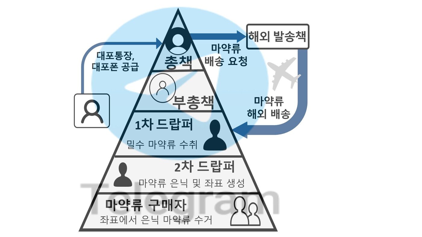본문 이미지 - 범죄조직도.&#40;서울중앙지검 제공&#41; 