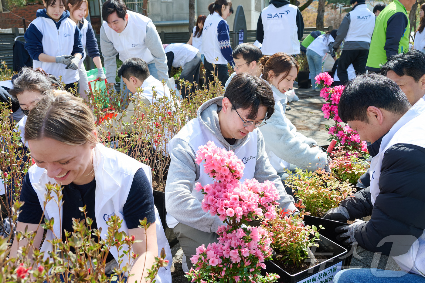 (서울=뉴스1) = BAT로스만스는 서울 중구 신당동 마을마당에서 열린 ‘꽃BAT 캠페인’을 통해 임직원들과 함께 꽃화분 식재 활동을 진행했다고 21일 밝혔다.BAT 임직원들은 봄 …