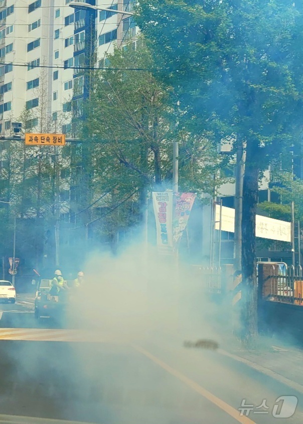 (포항=뉴스1) 최창호 기자 = 18일 오후 경북 포항시 용흥동에서 보건소 기동방역팀이 연막 소독을 하고 있다 2025.4.18/뉴스1