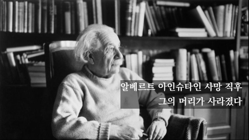 본문 이미지 - 고흐의 귀, 퀴리의 골수