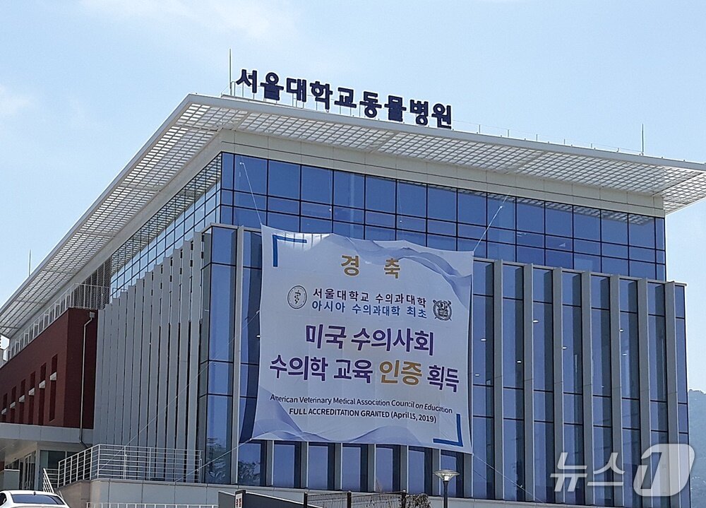 본문 이미지 - 관악구 서울대학교 수의과대학 동물병원 자료사진 ⓒ 뉴스1 최서윤 기자