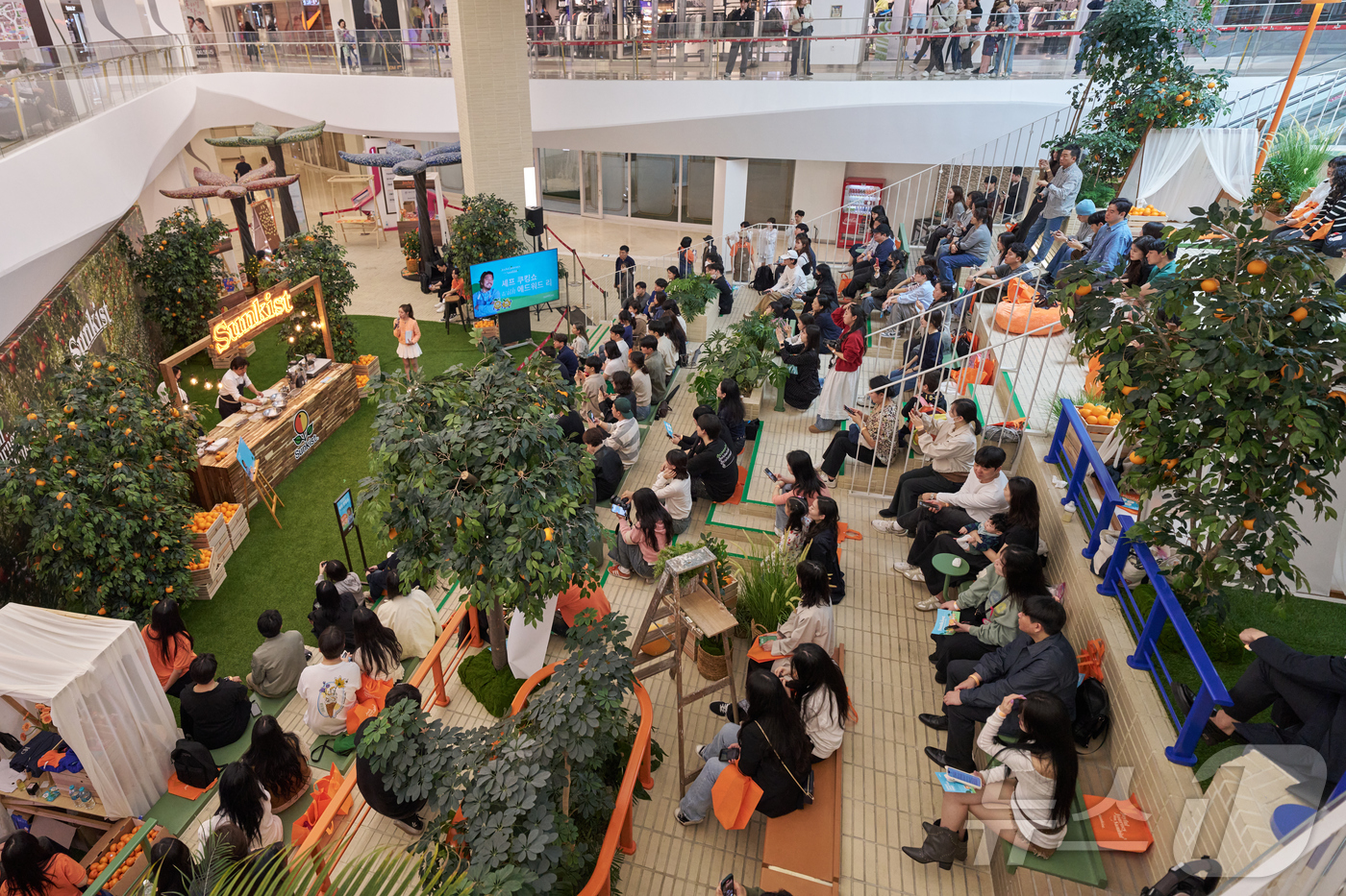 (서울=뉴스1) = 19일 서울 강남구 스타필드 코엑스몰에 마련된 ‘조이플 저니 위드 썬키스트’ 팝업 스토어에서 에드워드 리 셰프가 진저 오렌지 캐럿 퓌레와 코코넛 프라이드 쉬림프 …