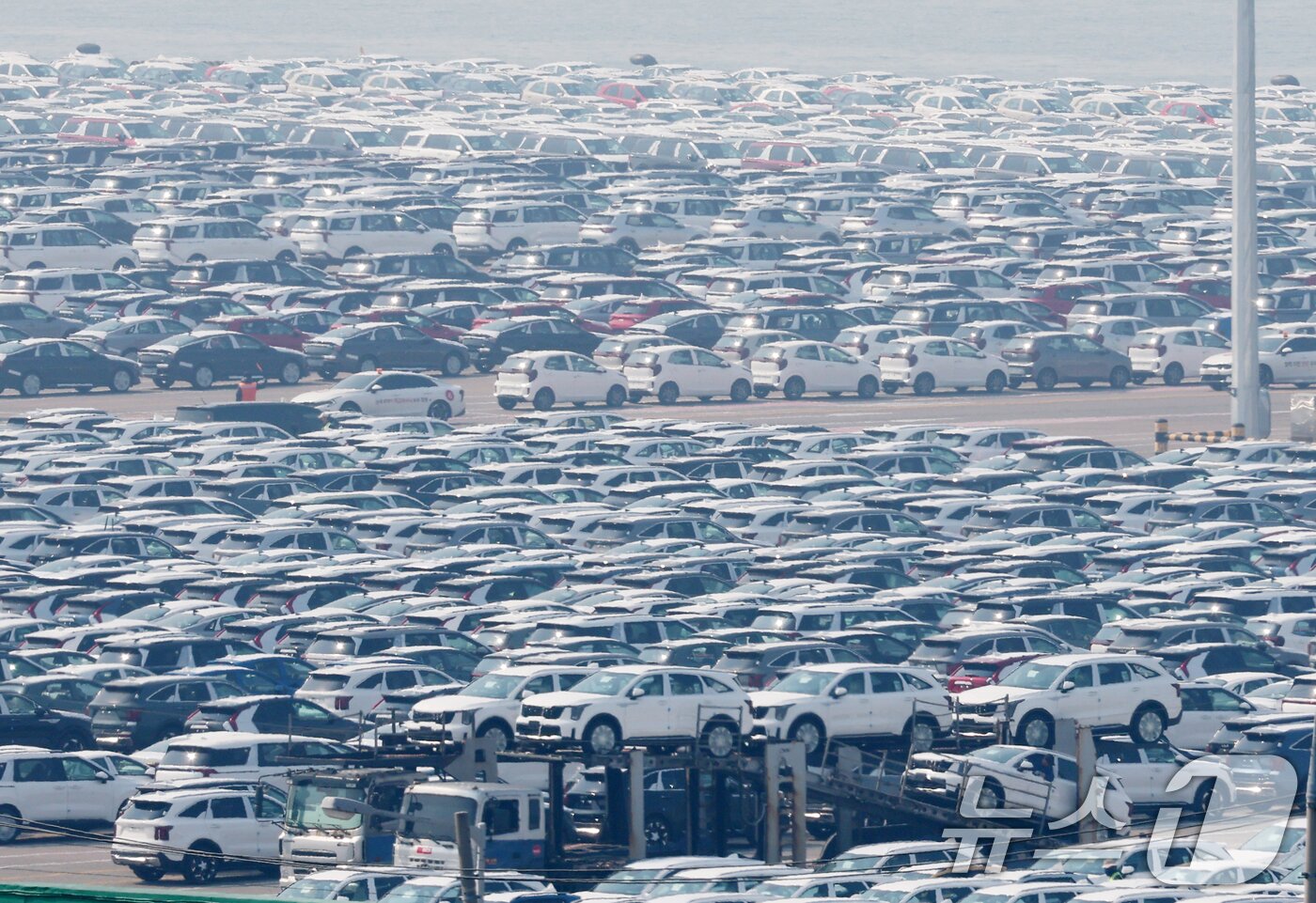본문 이미지 - 도널드 트럼프 미국 대통령이 예고한 상호 관세 발표가 하루 앞으로 다가온 2일 경기 평택시 포승읍 평택항 자동차전용부두에 수출용 차량들이 세워져 있다. 2025.4.2/뉴스1 ⓒ News1 김영운 기자