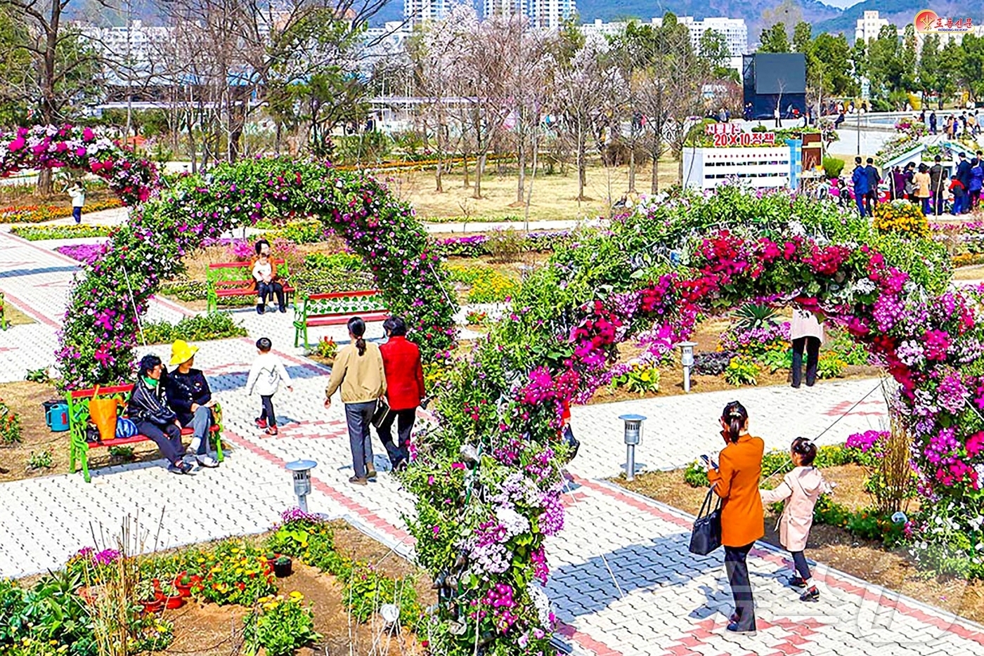 (평양 노동신문=뉴스1) = 북한 노동당 기관지 노동신문은 20일 '화초축전 2025'가 성황리에 진행됐다고 보도했다. [국내에서만 사용가능. 재배포 금지. DB 금지. For U …