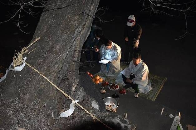'세종 등곡리 낙화놀이 한눈에…' 영상대 학생들 다큐 제작