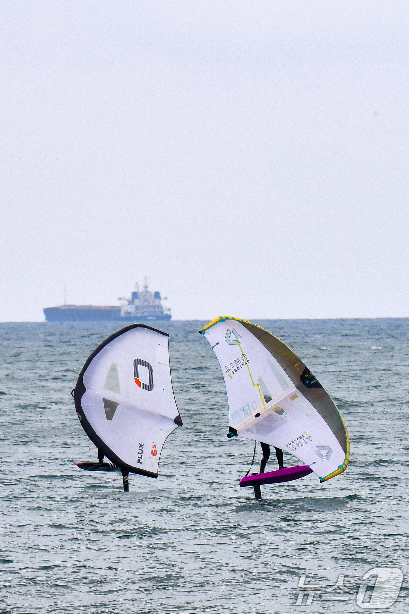 (포항=뉴스1) 최창호 기자 = 20일 오후 경북 포항시 송도해수욕장에서 윙포일 동호인들이 파도를 타고 있다. 2025.4.20/뉴스1