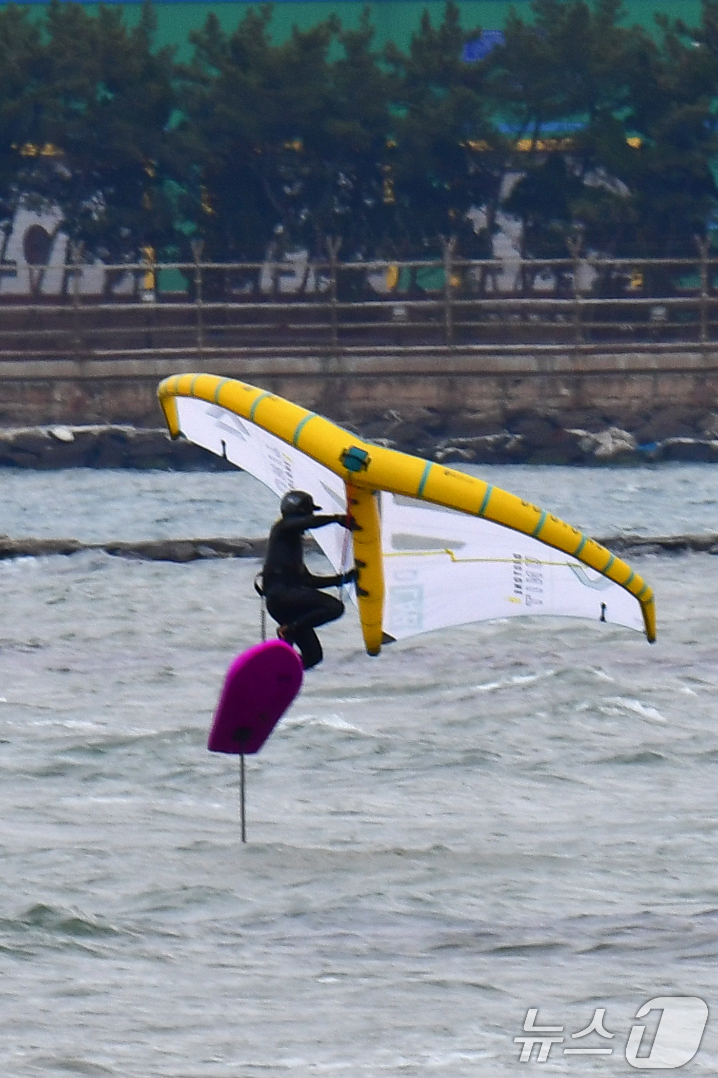 (포항=뉴스1) 최창호 기자 = 20일 오후 경북 포항시 송도해수욕장에서 윙포일 동호인들이 파도를 타고 있다. 2025.4.20/뉴스1