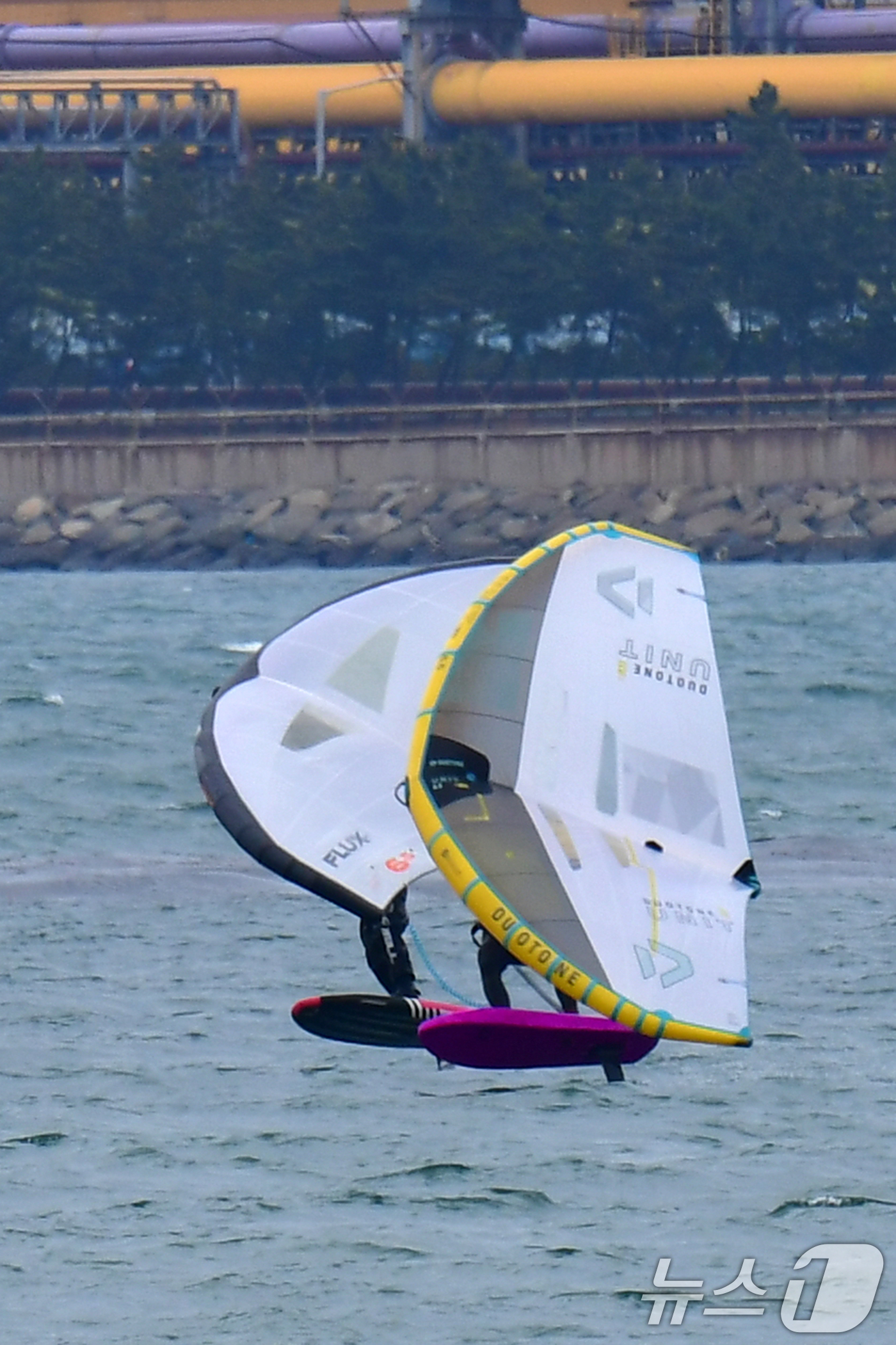 (포항=뉴스1) 최창호 기자 = 20일 오후 경북 포항시 송도해수욕장에서 윙포일 동호인들이 파도를 타고 있다. 2025.4.20/뉴스1