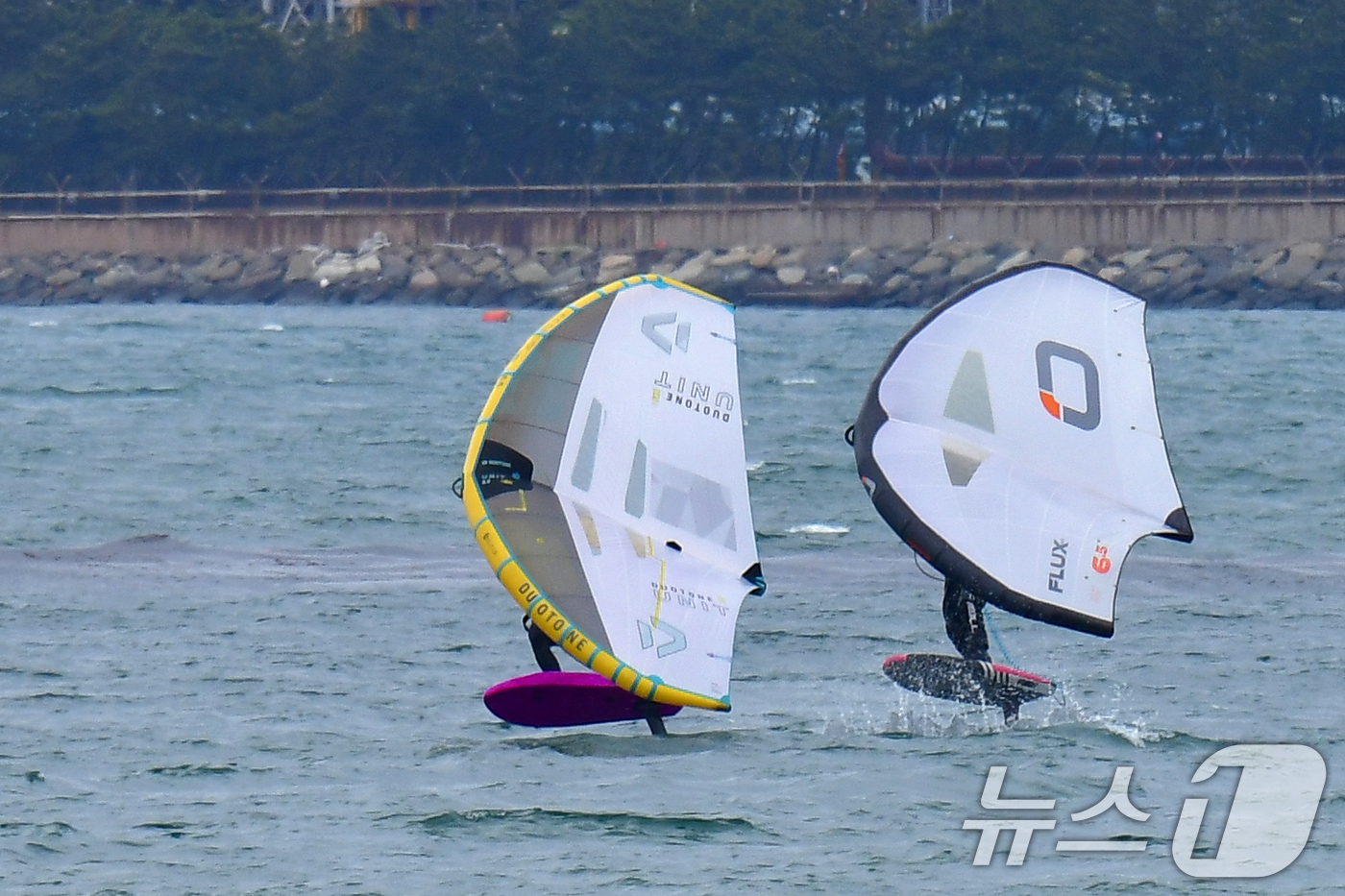 (포항=뉴스1) 최창호 기자 = 20일 오후 경북 포항시 송도해수욕장에서 윙포일 동호인들이 파도를 타고 있다. 2025.4.20/뉴스1