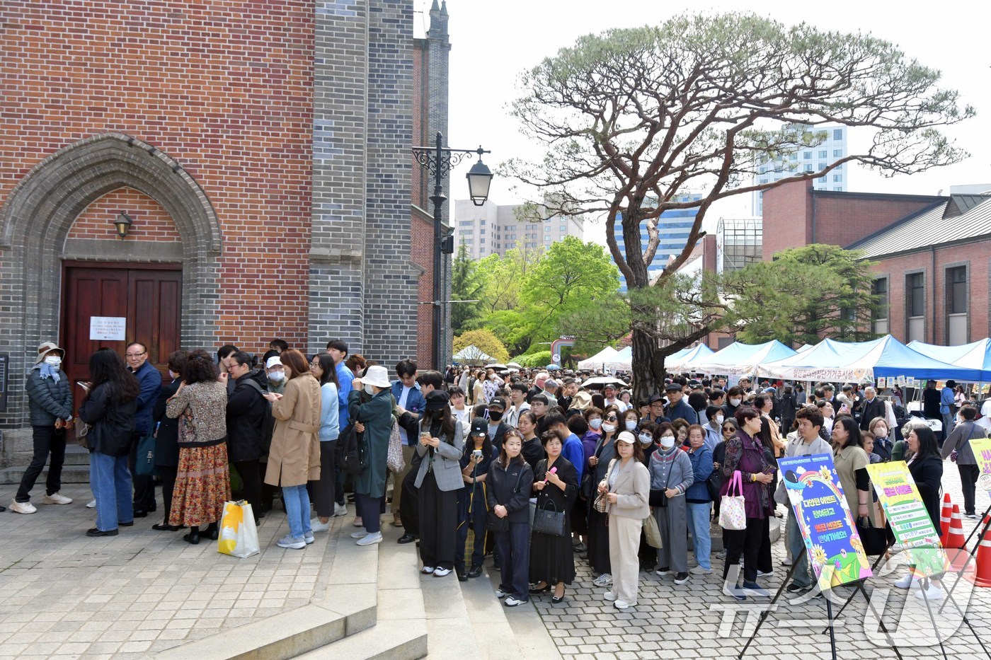 (서울=뉴스1) 사진공동취재단 = 20일 서울 명동 성당에서 열린 부활대축일 미사에 신자들이 참석하고 있다. 2025.4.20/뉴스1