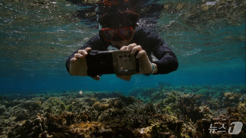 (서울=뉴스1) = 삼성전자가 21일 해양 보호를 위해 갤럭시 카메라 기술을 활용한 해양 생태계 복원 프로젝트 '코랄 인 포커스'의 1주년 성과를 공개했다.삼성전자가 해양 보호를 …