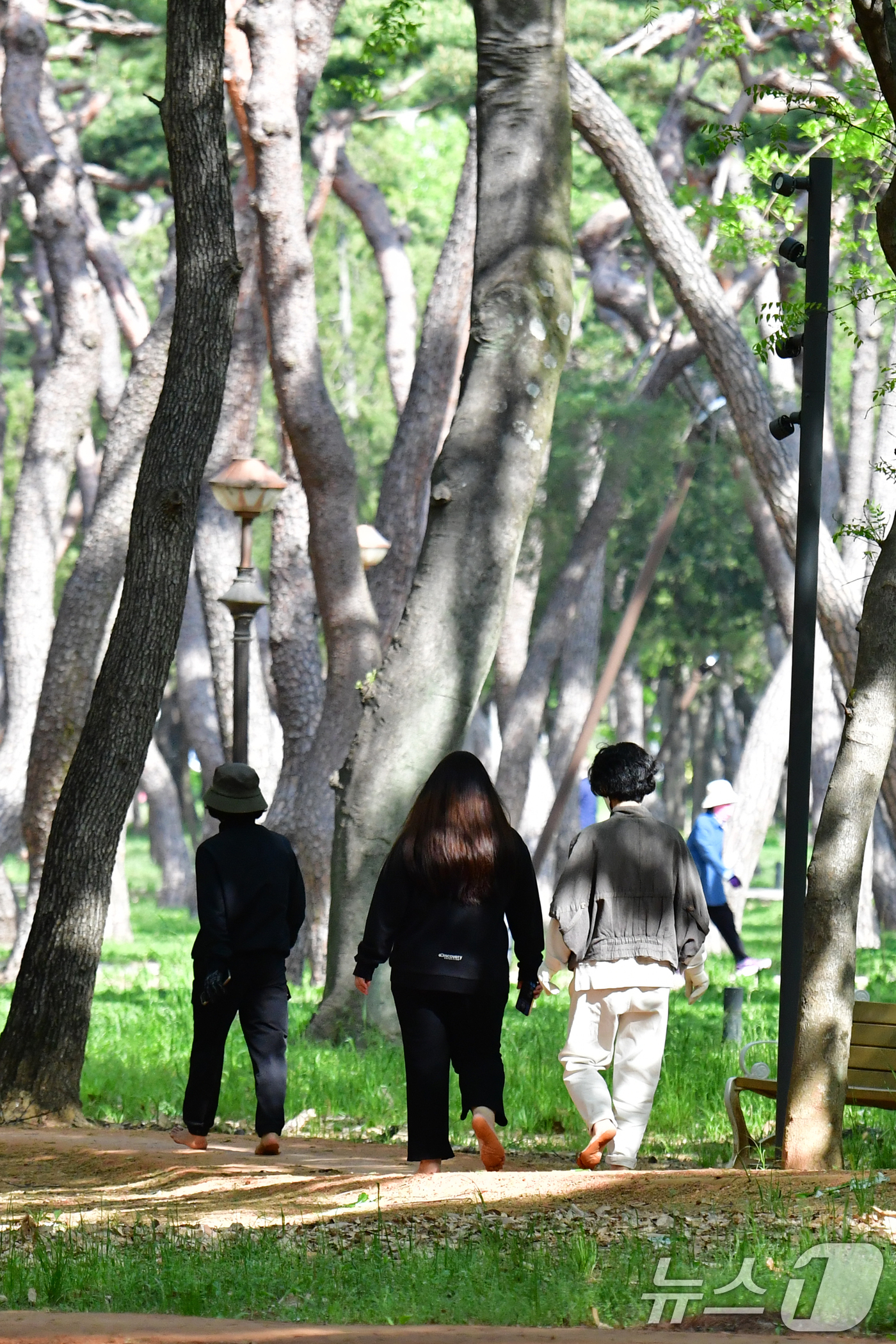 (경주=뉴스1) 최창호 기자 = 21일 오전 경북 경주시 황성공원에서 시민들이 아침 운동을 하고 있다. 2025.4.21/뉴스1