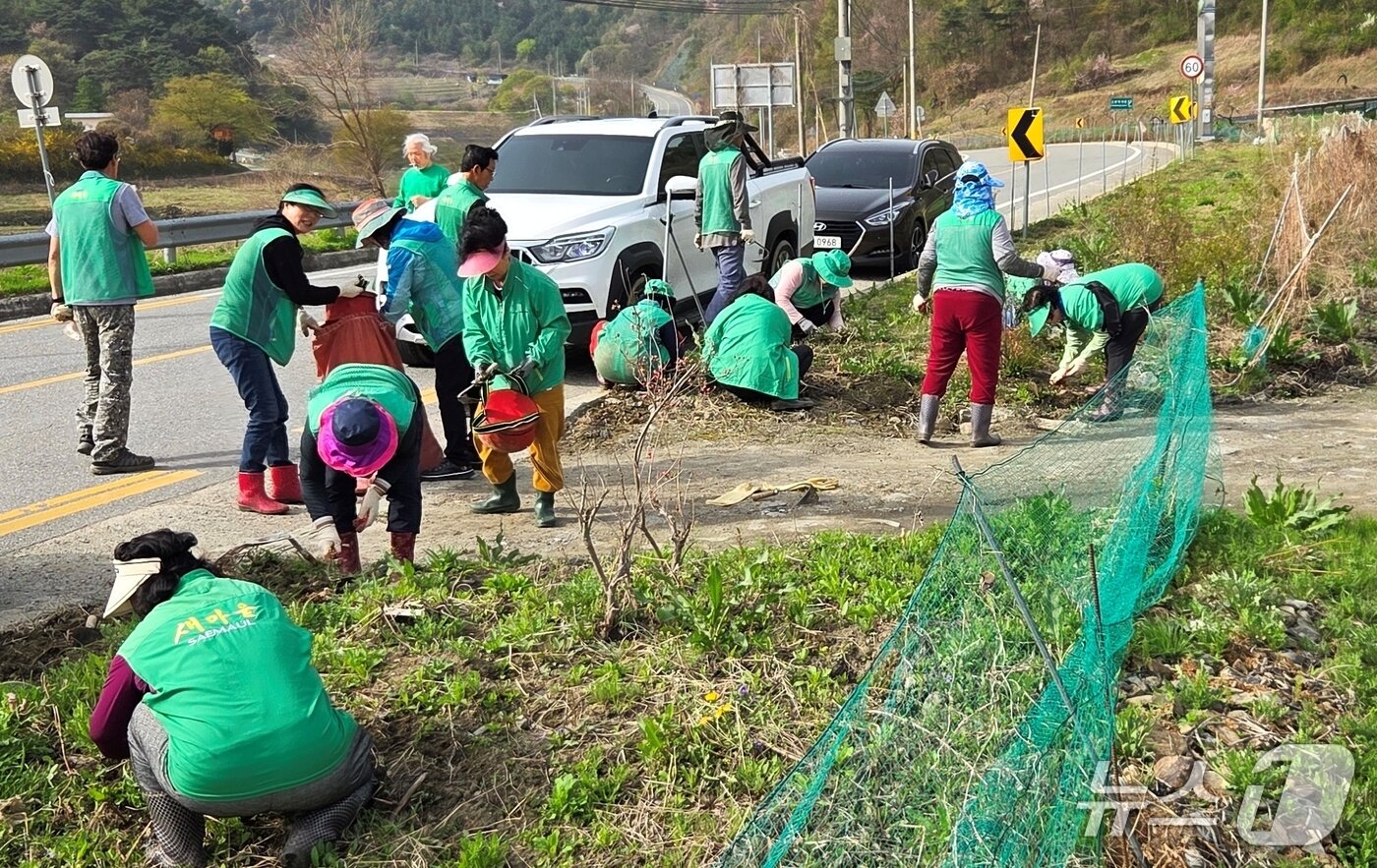 본문 이미지 - 충북 괴산군 장연면 새마을지도자협의회(회장 노재훈)는 21일 '국토공원화사업'의 하나로 국토대청결운동을 전개했다.(괴산군 제공)/뉴스1