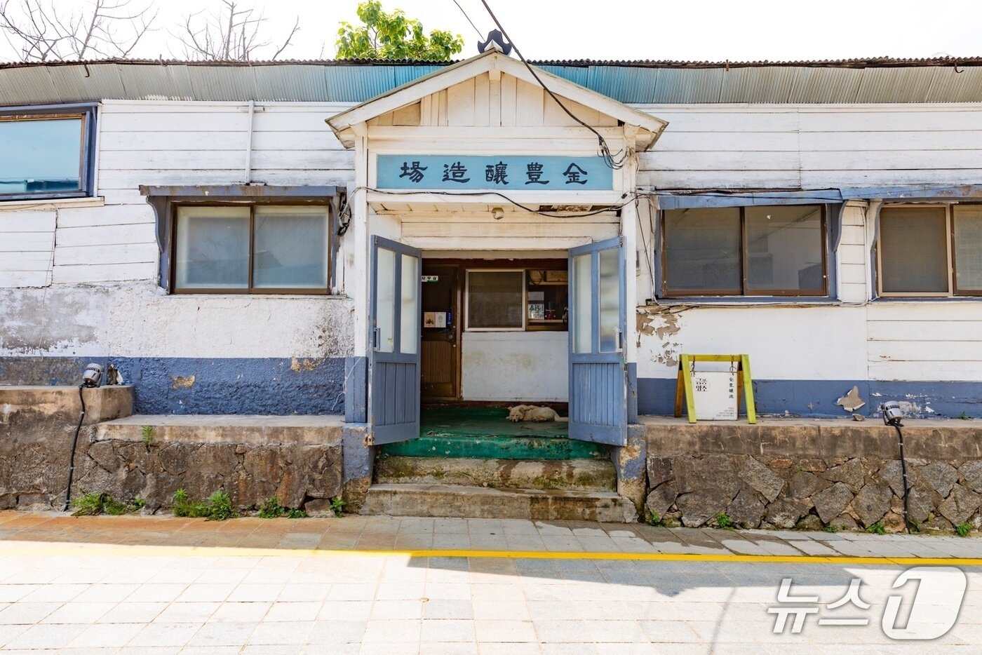 본문 이미지 -  100년의 세월을 고스란히 간직한 금풍양조장&#40;금풍양조장 제공&#41;