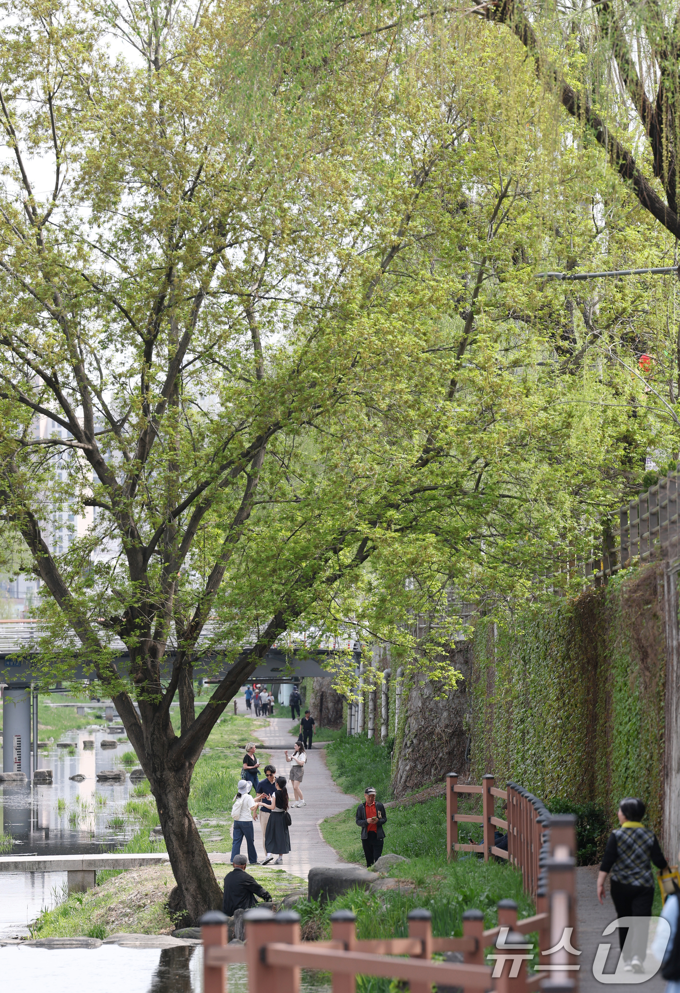 (수원=뉴스1) 김영운 기자 = '지구의 날'을 하루 앞둔 21일 오후 경기 수원시 팔달구 수원화성 화홍문 인근에서 시민들이 산책을 하고 있다.'지구의 날'은 1969년 미국 캘리 …