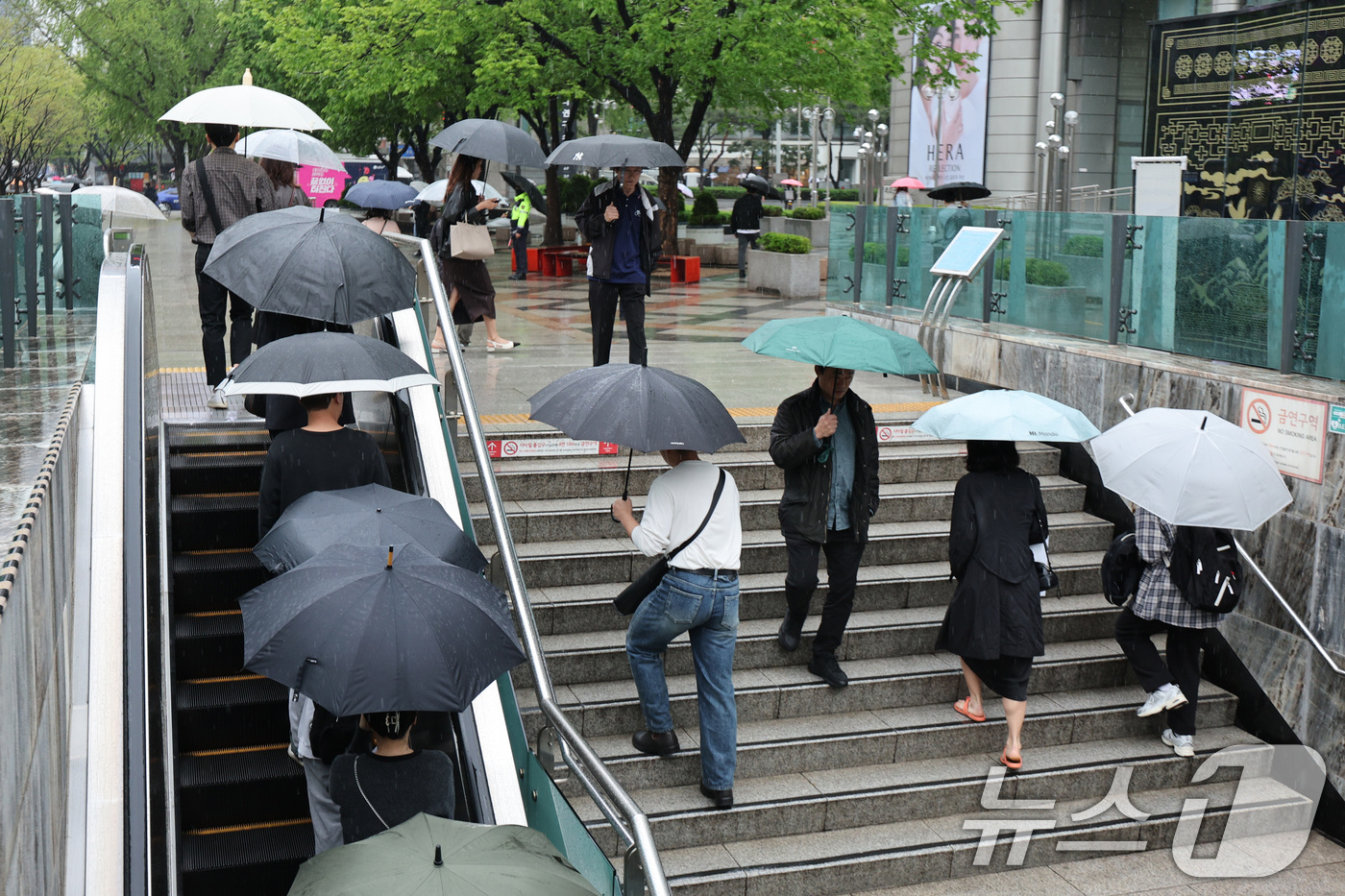 (서울=뉴스1) 신웅수 기자 = 봄비가 내린 22일 서울 광화문네거리에서 우산을 쓴 시민들이 출근하고 있다.기상청은 이날 전국에서 봄비가 내리며 영남은 최대 80㎜, 수도권은 최대 …