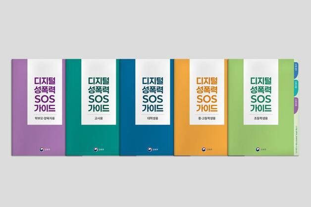 딥페이크 피해 당했다면…"바로 증거 확보하고 도움 요청"