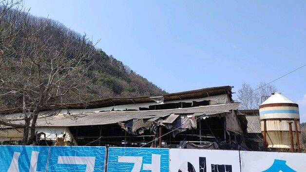 영동군 숙원 '축사단지 어서실' 재정비 지연…사업계획 변경