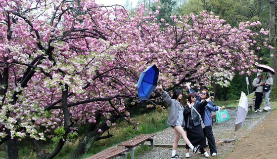 최장 6일·징검다리 연휴에 국내여행 수요↑…호텔·레스토랑 '풀'