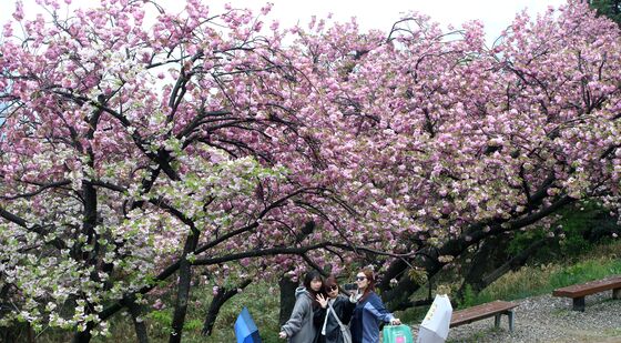 '봄비' 내리는 부산서 쌓는 추억