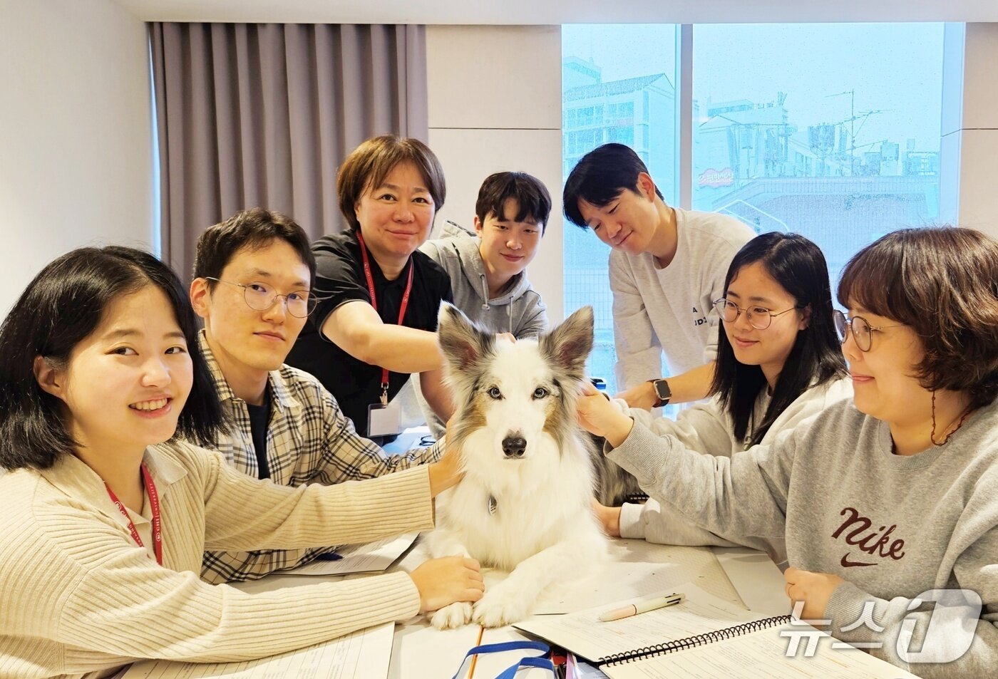 본문 이미지 - 침치료인증수의사 수업이 22일 서울 강남구 VIP동물한방재활의학센터 by Dr. 신사경에서 열렸다. ⓒ 뉴스1