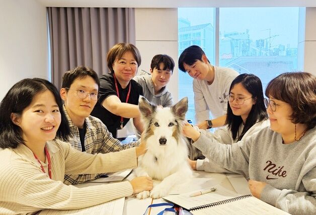 "반려동물 골관절염도 침·재활 치료로 관리"…CVA 수업, 열기 후끈